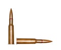 Two rifle bullets Royalty Free Stock Photo