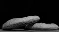 Two Ring Shaped Baguette Sourdough Pieces of Bread (Front View in grayscale)
