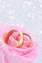 Two rings with rose Royalty Free Stock Photo