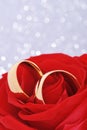 Two rings with rose Royalty Free Stock Photo