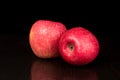 Two ripe apples lie next, wet apples, black background Royalty Free Stock Photo