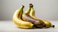 Two ripe bananas on a white background.