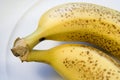 Two ripe bananas on white plate Royalty Free Stock Photo
