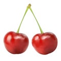 Two ripe beautiful red cherries