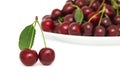 Two ripe berries with green leaf and plate of cherry (isolated) Royalty Free Stock Photo