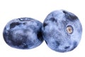 Ripe blueberries isolated on white background Royalty Free Stock Photo