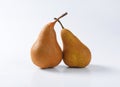 Two ripe Bosc pears