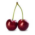 Two ripe cherries Royalty Free Stock Photo