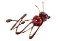 Two ripe cherries in chocolate on white background Royalty Free Stock Photo