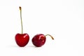 Two ripe cherries fruit on a white background Royalty Free Stock Photo