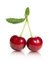 Two ripe sweet cherries with a green leaf isolated on a white background. Fresh berry fruits. Royalty Free Stock Photo