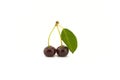 Two ripe cherries with a green leaf on a white Royalty Free Stock Photo