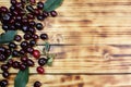 Two ripe cherries are hanging on a tree branch