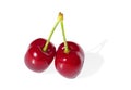 Two ripe cherries isolated on white background. Royalty Free Stock Photo