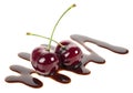 Two ripe cherries in liquid chocolate isolated on white background. Fondue cherries Royalty Free Stock Photo