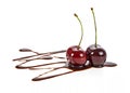 Two ripe cherries in liquid chocolate on white background Royalty Free Stock Photo