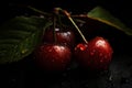 Two ripe cherries with water droplets on them, showcasing freshness and juiciness Royalty Free Stock Photo