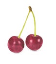 Two ripe cherries . Watercolor illustration. Royalty Free Stock Photo