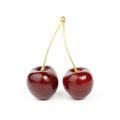 Two ripe cherries on a white background, red fruit Royalty Free Stock Photo