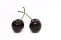 Two ripe Cherries on white Royalty Free Stock Photo