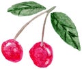 Two ripe cherry berries on a branch with leaves hand-drawn with watercolor strokes Royalty Free Stock Photo