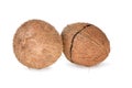 Two ripe coconut on white Royalty Free Stock Photo