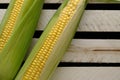 Two ripe ears corn wooden background.