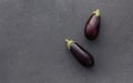 Two ripe Eggplants on grey background. Concept of healthy vegan food. Copy space. Top view Royalty Free Stock Photo