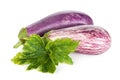 Two ripe eggplants Royalty Free Stock Photo