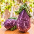 Two ripe eggplants Royalty Free Stock Photo