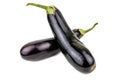 Two ripe eggplants on white Royalty Free Stock Photo