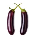 Two ripe fresh eggplants isolated on white background Royalty Free Stock Photo