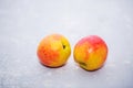 Two ripe fresh nectarines on a gray background, close-up Royalty Free Stock Photo