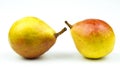 Two ripe pears of yellow-pink color close-up isolated on a white background Royalty Free Stock Photo