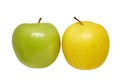 Two ripe green and yellow apples on a white background Royalty Free Stock Photo