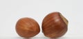 Two ripe hazelnuts in the shell without leaves, on a glass stand and with a small shadow Royalty Free Stock Photo