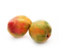 Two ripe Israeli mangoes isolated on a white background, close-up Royalty Free Stock Photo