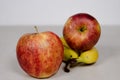 Two Apples and Two Bananas Isolated on a Gray White Grey Marble Slate Background Royalty Free Stock Photo