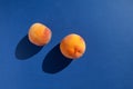 Two ripe juicy nectarines or peaches cast shadows. Blue background, copy space Royalty Free Stock Photo