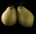 Two ripe, juicy pears, on a black background Royalty Free Stock Photo