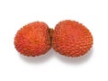 Two ripe juicy pink-red lychee fruit on one stem on white Royalty Free Stock Photo