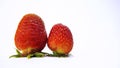 Two ripe juicy red strawberries on a white background. Royalty Free Stock Photo