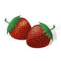 two ripe juicy strawberries