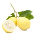 Two ripe lemon slide in closeup