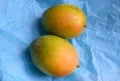 Two ripe mangoes on blue background. Royalty Free Stock Photo