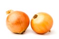 Two ripe onions on a white background, . Royalty Free Stock Photo