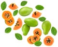 Flying ripe papaya fruits with green leaves isolated on white background. exotic fruit. clipping path Royalty Free Stock Photo