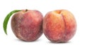 Two ripe peach Royalty Free Stock Photo