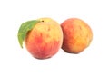 Two ripe peach Royalty Free Stock Photo