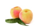 Two ripe peach with leaves Royalty Free Stock Photo